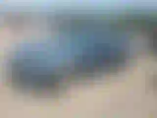 Vehicle Image- 2012 Ford Fusion