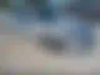 Vehicle Image- 2010 Ford Fusion