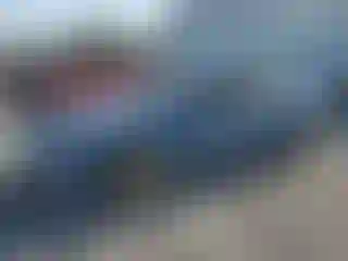 Vehicle Image- 2010 Ford Fusion