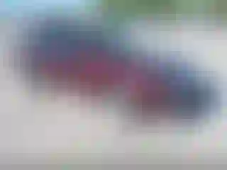Vehicle Image- 2012 Ford Fusion