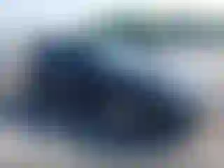 Vehicle Image- 2010 Ford Fusion