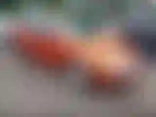 Vehicle Image- 2005 Ford Focus