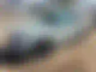 Vehicle Image- 2023 Ford Bronco