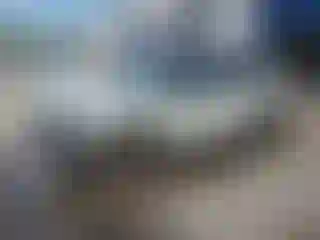 Vehicle Image- 2023 Ford Bronco