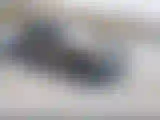 Vehicle Image- 2022 Ford Bronco