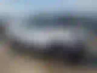 IMPORTOWO.pl