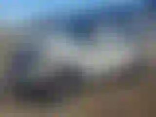 Vehicle Image- 2025 Ford Bronco