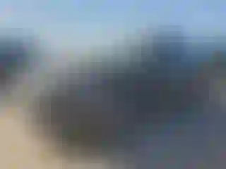 Vehicle Image- 2025 Ford Mustang