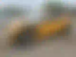 Vehicle Image- 2022 Ford Mustang
