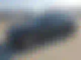 Vehicle Image- 2023 Ford Mustang