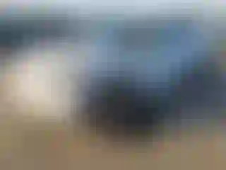 Vehicle Image- 2021 Ford Mustang