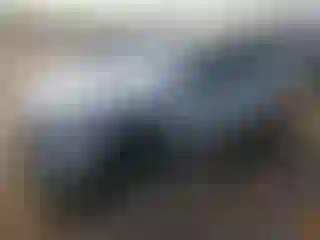 Vehicle Image- 2022 Ford Mustang