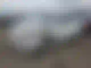 Vehicle Image- 2023 Ford Mustang