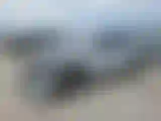 Vehicle Image- 2022 Ford Mustang