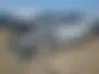 Vehicle Image- 2023 Ford Mustang