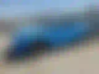 Vehicle Image- 2024 Ford Mustang