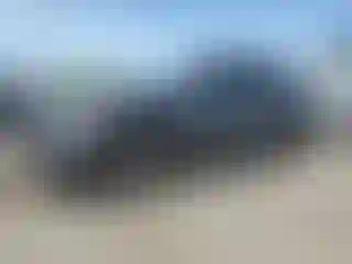 Vehicle Image- 2023 Ford Mustang