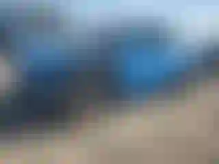 Vehicle Image- 2023 Ford Mustang