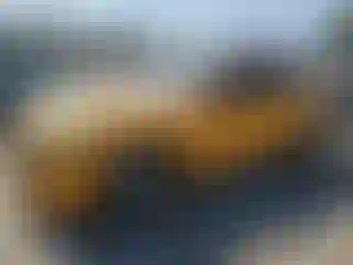 Vehicle Image- 2022 Ford Mustang