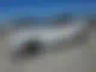 Vehicle Image- 2023 Ford Mustang