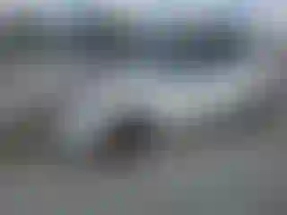 Vehicle Image- 2023 Ford Mustang