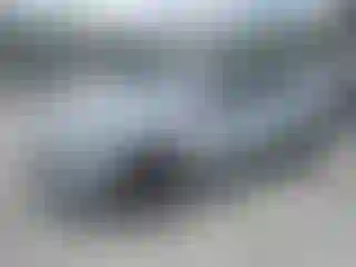 Vehicle Image- 2021 Ford Mustang