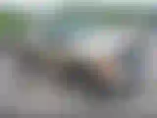 Vehicle Image- 2001 Ford F-250