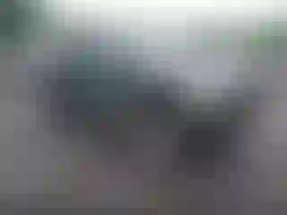 Vehicle Image- 2003 Ford F-250