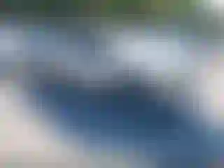 Vehicle Image- 2001 Ford F-250