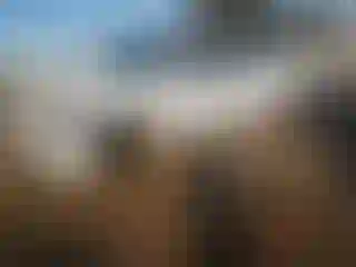 Vehicle Image- 2007 Chevrolet Silverado