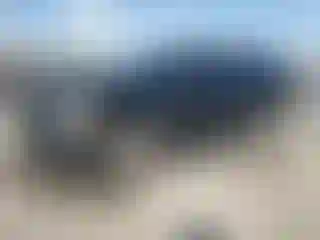Vehicle Image- 2009 Chevrolet Silverado