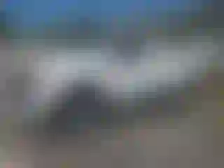Vehicle Image- 2024 Chevrolet Silverado