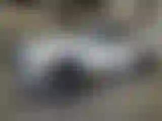 Vehicle Image- 2012 Chevrolet Silverado