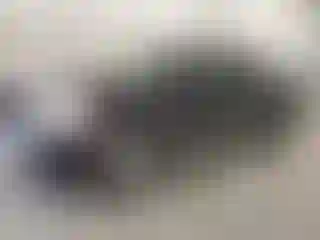 Vehicle Image- 2011 Chevrolet Silverado