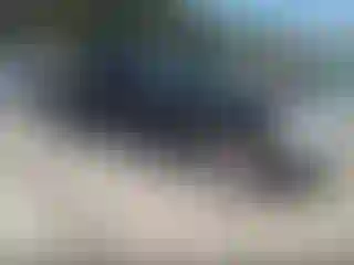 Vehicle Image- 2011 Chevrolet Silverado