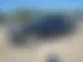 Vehicle Image- 2010 Chevrolet Silverado