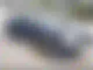 Vehicle Image- 2010 Chevrolet Silverado