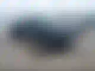 Vehicle Image- 2010 Chevrolet Silverado