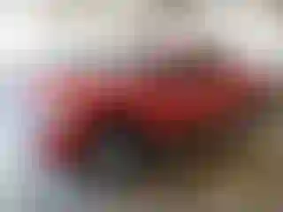 Vehicle Image- 2010 Chevrolet Silverado
