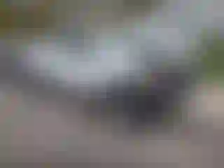 Vehicle Image- 2023 Chevrolet Silverado