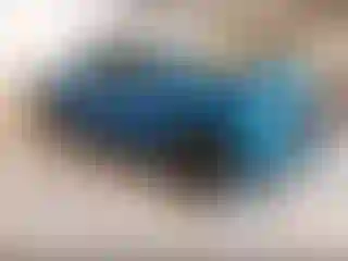 Vehicle Image- 2025 Chevrolet Silverado