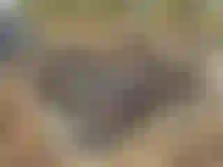 Vehicle Image- 2014 Chevrolet Silverado