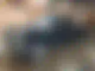 Vehicle Image- 2015 Chevrolet Silverado