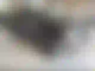 Vehicle Image- 2017 Chevrolet Silverado