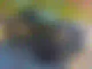 Vehicle Image- 2015 Chevrolet Silverado