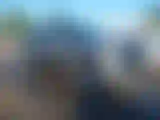 Vehicle Image- 2021 Chevrolet Silverado