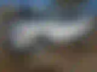 Vehicle Image- 2024 GMC Terrain
