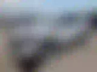 Vehicle Image- 2024 GMC Terrain