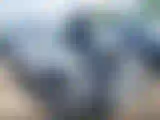 Vehicle Image- 2024 GMC Terrain