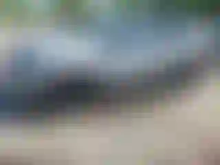 Vehicle Image- 2023 GMC Terrain